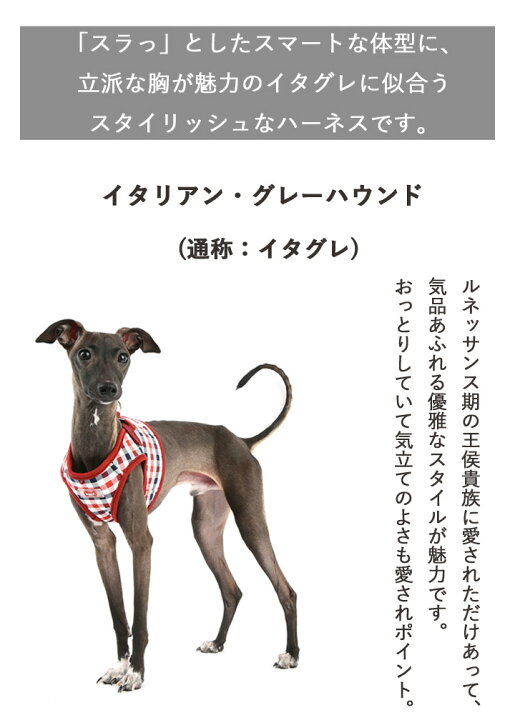楽天市場 イタグレ ハーネス 胴輪 犬 小型犬 中型犬 抜けない 簡単装着 柔らかい 首 負担 少ない 抜けにくい おしゃれ メッシュ 涼しい 可愛い パピア シンプル 犬 服 犬服 いぬ 犬の服 着せやすいドッグウェア 春 夏 春夏 春服 夏服 春物 夏物