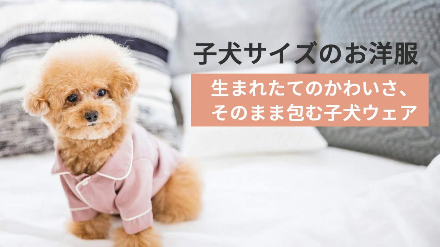 楽天市場 | はっぴーDOG【公式】可愛い犬服屋 - 愛犬との暮らしを 