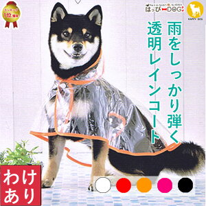 yŏI300~N[|zy킯iz   ̕ y͂ҁ[DOGz ₷ Jbp CR[g h CEFA[ J H J p  g yt  t t ĕ t 