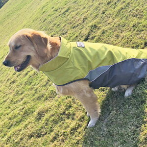 �� ���C���R�[�g �����₷�� �h�� �� �����₷�� ���̃J�b�p ���� ���� ���̕� �A�E�^�[ ��p ���Ȃ� ������ �J�b�p ���H �}�W�b�N�e�[�v �ȒP �J�� �|���`�� �A�E�g�h�A �g���� �y�H �~ �H�~ 