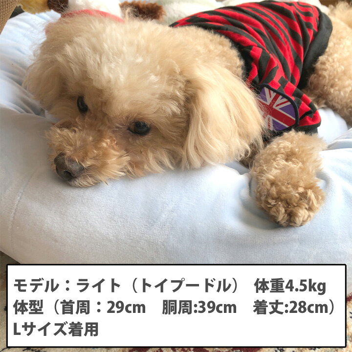 楽天市場 犬 服 1着半額クーポン 楽天ランキング1位 犬服 いぬ ドッグウェア ボーダー カットソー Tシャツ ユニオンジャック 春 夏 春夏 春服 夏服 春物 夏物 男の子 小型犬 中型犬 かわいい犬服屋さん はっぴーdog 楽天市場 犬 服 1着半額クーポン 楽天ランキング1位 犬服 いぬ ドッグウェア ボーダー カットソー Tシャツ ユニオンジャック 春 夏 春夏 春服 夏服 春物 夏物 男の子 小型犬 中型犬 かわいい犬服屋さん はっぴーdog