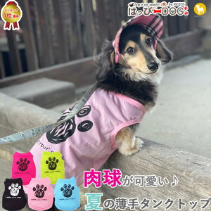 yRC500~z   ̕ y͂ҁ[DOGz ^Ngbv Ȃ m[X[u  Օ V[g yt  t t ĕ t ĕ tzyj̎q ^ ^z v`