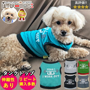y킯iz   ̕ y͂ҁ[DOGz ^Ngbv Ȃ m[X[u  vg V[g yj̎q ^ ^z v`v