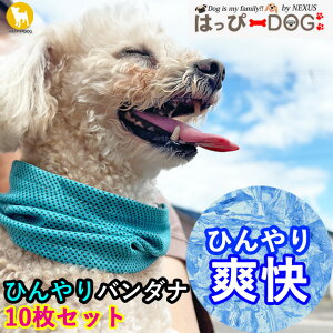 p Ђ N[lbN y ŔG炷 ȒP@ɕSȂ yCĝЂo_iz ΍ObY lbNN[[ p ⊴ o_i MǑ΍ ΍   