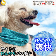 犬用 ひんやり クールネック 軽量 水で濡らすだけ 簡単 首に負担が少ない 【ライトのひんやりバンダナ】 …