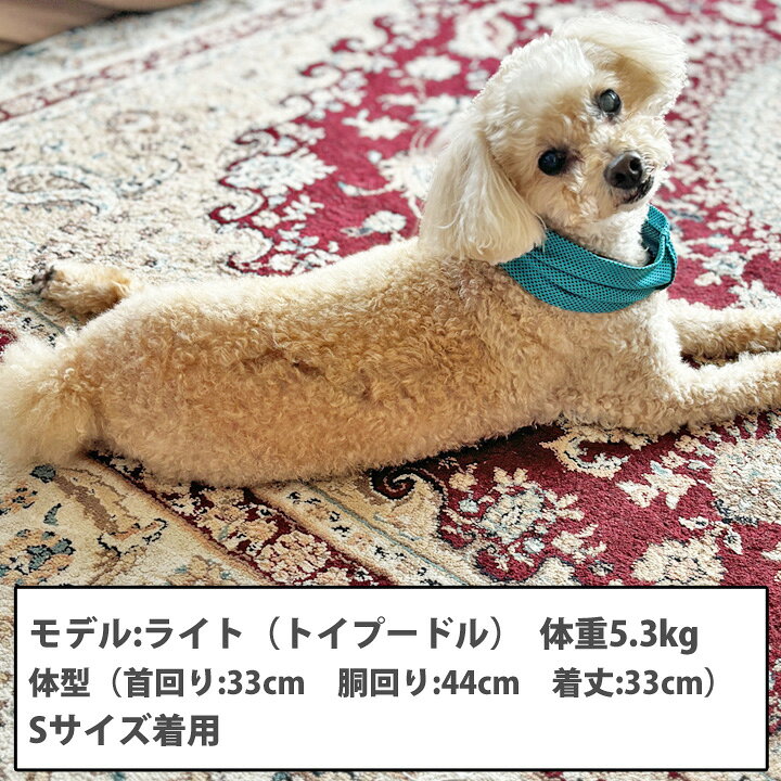 楽天市場 熱中症対策ひんやりクールバンダナ 楽天ランキング1位 クールネック 犬服 いぬ 犬の服 タオル バンド ひんやり 涼しい 冷却 バンダナ 犬用 クール スカーフ 暑さ対策 熱中症 予防 大型犬 春 夏 春夏 春服 夏服 春物 夏物 夏用 男の子 小型犬 中型犬