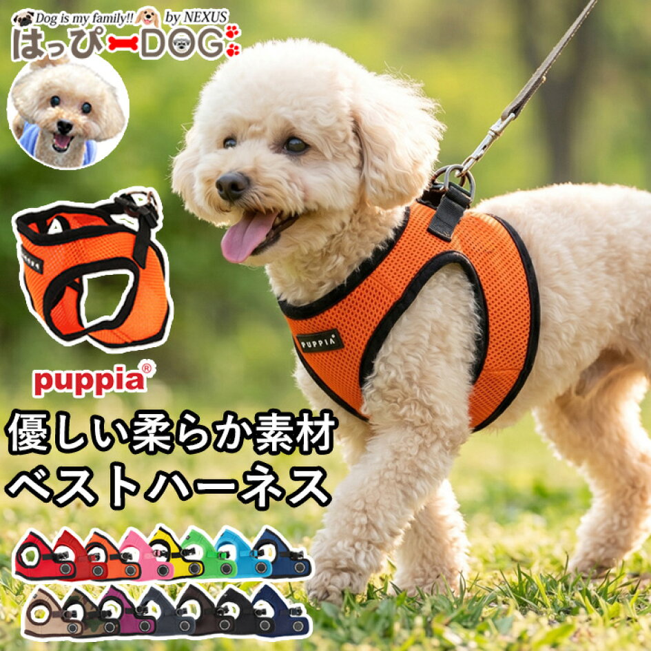 Pawspick 犬 ハーネス 小型犬 中型犬 抜けない おしゃれ 可愛い 負担が少ない 胴輪 軽量 柔らかい 通気性 蒸れない 猫兼用 超小型犬 ミントグリーン, XS  はっぴーDOG 公式 可愛い犬服屋 - 首にやさしい