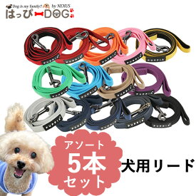 5本セット アソート PUPPIA パピア 正規品 リード 紐 犬服 いぬ 犬 服 犬の服