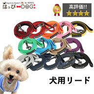 【1000円ポッキリ】PUPPIA パピア 正規品 リード 紐 犬服 いぬ 犬 服 犬の服 【男の子 小型犬 中型犬】