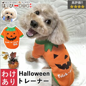 【わけあり品】 犬 服 犬服 犬の服 【はっぴーDOG】 【はっぴーDOG】 トレーナー 袖あり 長袖 半袖 ハロウィン ハロウィーン 仮装 コスプレ 衣装 飾り かぼちゃ なりきり 暖かい 面白い 【秋 冬 秋冬 秋服 冬服 秋物 冬物 秋服】