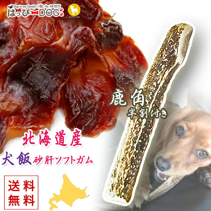 楽天市場 犬のガム 砂肝 ドッグフード 犬のおやつ 鹿の角 2点セット 鹿角 犬 いぬ イヌ おやつ 北海道産 国産 砂ぎもソフトガム ペット プレゼント The 犬飯 いぬまんま かわいい犬服屋さん はっぴーdog
