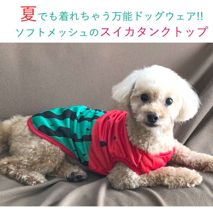 楽天市場】犬 服 犬服 犬の服 【はっぴーDOG】 タンクトップ 袖なし 