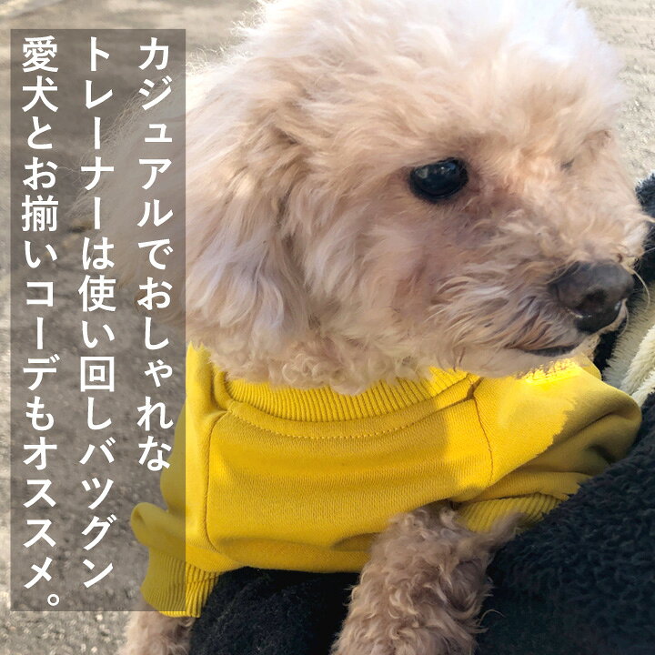 楽天市場】犬 服 犬服 犬の服 【はっぴーDOG】 トレーナー 袖あり 長袖 