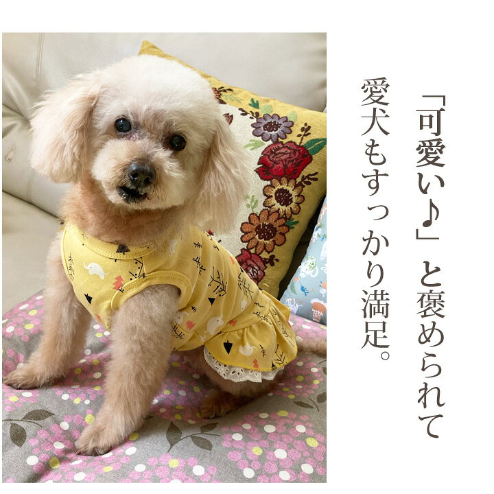 楽天市場 犬 服 ワンピース 春 かわいい 女の子 犬服 いぬ 犬の服 タンクトップ 袖なし フリル ドット柄 レース ドッグウェア 春 夏 春夏 夏服 春物 福袋 中型犬 サイズ かわいい犬服屋さん はっぴーdog 楽天市場 犬 服 ワンピース 春 かわいい 女の子 犬服 いぬ 犬の服 タンクトップ 袖なし フリル ドット柄 レース ドッグウェア 春 夏 春夏 夏服 春物 福袋 中型犬 サイズ かわいい犬服屋さん はっぴーdog