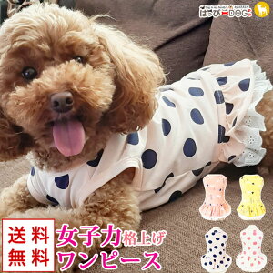 犬 服 かわいい 男の子の人気商品 通販 価格比較 価格 Com