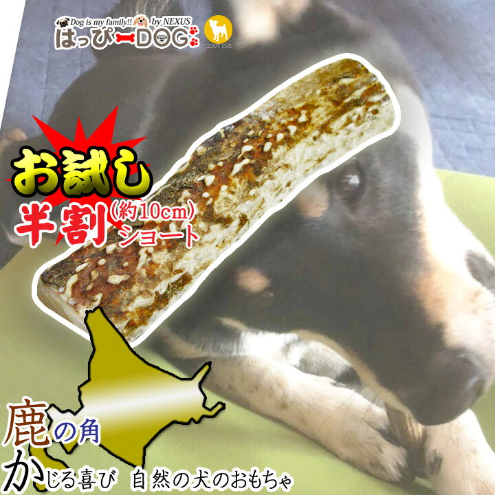 楽天市場 1000円ポッキリ 鹿の角 鹿 角 半割 北海道 国産 鹿角 犬のおもちゃ 犬 いぬ イヌ 犬用 噛む おもちゃ おやつ ドッグガム デンタルケア デンタル効果 口臭対策 無添加 壊れない 福袋 はっぴーdog 可愛い犬服屋さん