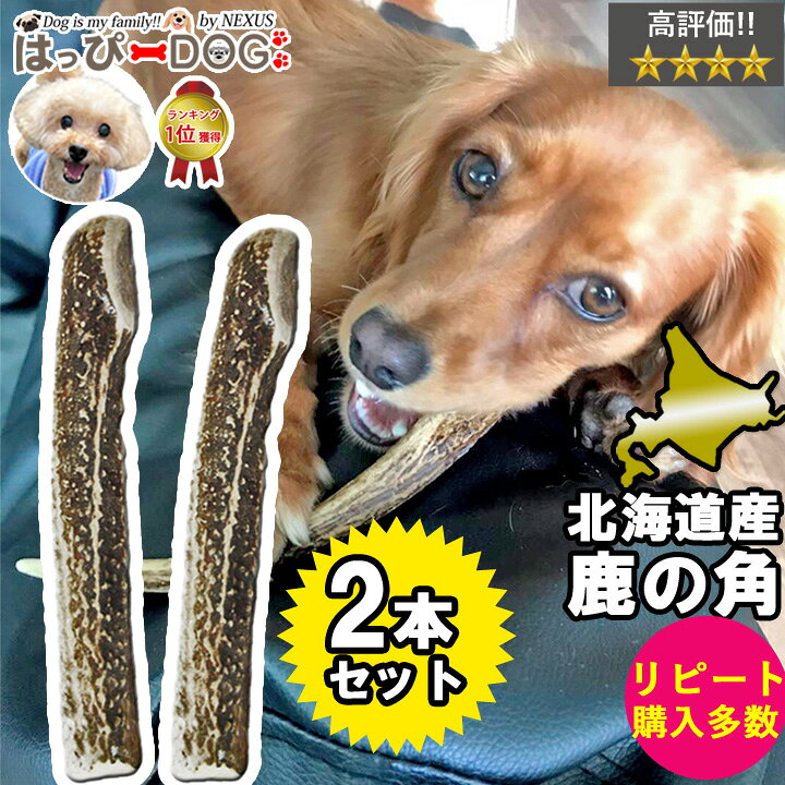 楽天市場】【お買い得2本セット】鹿の角 鹿 角 [20cm 中型犬 小型犬 