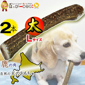 【2本セット】鹿の角 鹿 角 Lサイズ 北海道 国産 鹿角 犬のおもちゃ 犬 いぬ イヌ 犬用 噛む おもちゃ おやつ ドッグガム デンタルケア 歯磨き デンタル効果 口臭対策 無添加 壊れない ペット プレゼント 誕生日