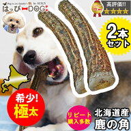 【お買い得2本セット】鹿の角 鹿 角 XLサイズ 大型犬 北海道 国産 鹿角 犬のおもちゃ 犬のおやつ 犬 いぬ…
