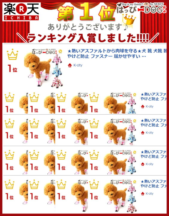 楽天市場 犬 服 楽天ランキング1位 犬 靴 犬靴 犬の靴 犬用靴 ドッグシューズ 夏 肉球やけど防止 肉球保護 ファスナー 履かせやすい 脱げない くつ 介護 足 怪我 シニア ケア 春 夏 春夏 夏服 おしゃれ 可愛い 犬服 いぬ アスファルト 洋服 男の子 小型犬 中型犬 楽天市場 犬 服 楽天ランキング1位 犬 靴 犬靴 犬の靴 犬用靴 ドッグシューズ 夏 肉球やけど防止 肉球保護 ファスナー 履かせやすい 脱げない くつ 介護 足 怪我 シニア ケア 春 夏 春夏 夏服 おしゃれ 可愛い 犬服 いぬ アスファルト 洋服 男の子 小型犬 中型犬
