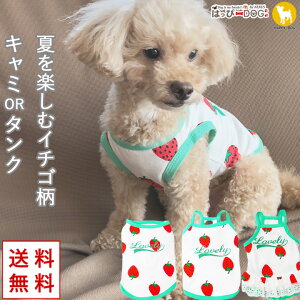    ̕ y͂ҁ[DOGz V[g  ^Ngbv Ȃ m[X[u   L~\[ t[c Xgx[  t ӂӂ yt  t t 