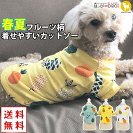 犬 服 犬服 犬の服 カットソー Tシャツ フルーツ柄 袖あり 着せやすい アロハ ショート丈 【春 夏 春夏 …