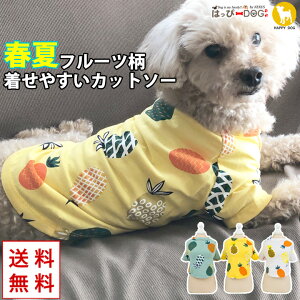    ̕ y͂ҁ[DOGz Jbg\[ TVc t[c  ₷ An V[g yt  t t ĕ t ĕ ėpzyj̎q ^ ^z