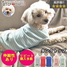 犬 服 犬服 犬の服 【はっぴーDOG】 DOG BABY ドッグベビー タンクトップ 袖なし ノースリーブ 袖無し 涼しい ボーダー ショート丈 暖かい【春 夏 春夏 春服 夏服 春物 夏物 夏用】【男の子 小型犬 中型犬】