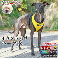 イタグレ ハーネス イタリアングレーハウンド 犬 PUPPIA パピア 正規品 ソフトベストハーネス メッシュ …
