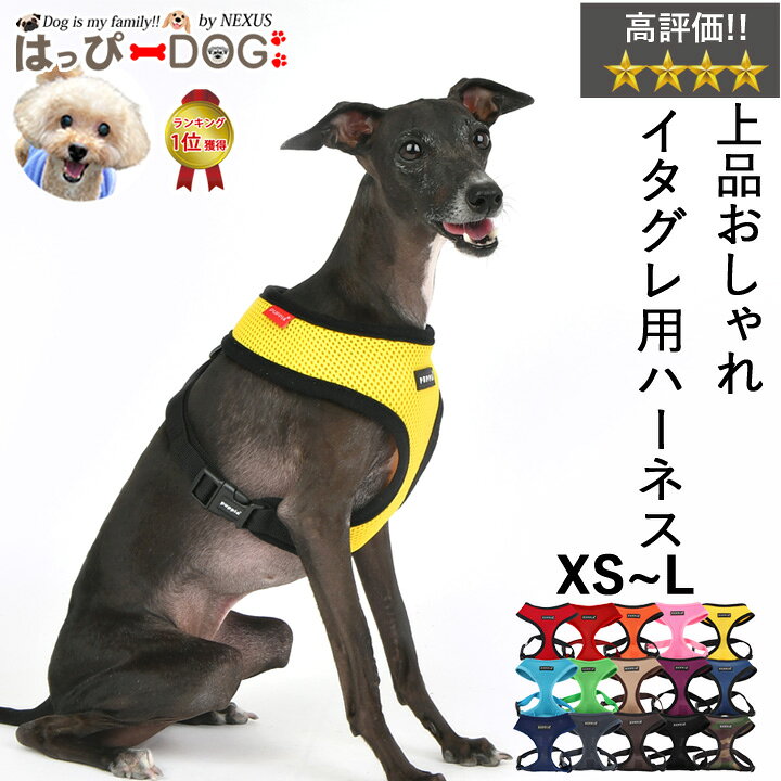 楽天市場 イタグレ ハーネス 胴輪 犬 小型犬 中型犬 抜けない 簡単装着 柔らかい 首 負担 少ない 抜けにくい おしゃれ メッシュ 涼しい 可愛い パピア シンプル 犬 服 犬服 いぬ 犬の服 着せやすいドッグウェア 春 夏 春夏 春服 夏服 春物 夏物