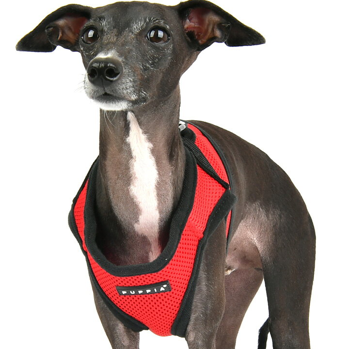 楽天市場 イタグレ イタリアングレーハウンド 犬用ハーネス ソフトハーネス ベストハーネス ハーネス ドット柄 犬用 Puppia パピア 正規品 マジックテープ 胴輪 犬服 犬 服 犬の服 ドッグウェア 秋 冬 秋冬 冬服 中型犬 服 サイズ かわいい犬服屋さん はっぴーdog 楽天市場 イタグレ イタリアングレーハウンド 犬用ハーネス ソフトハーネス ベストハーネス ハーネス ドット柄 犬用 Puppia パピア 正規品 マジックテープ 胴輪 犬服 犬 服 犬の服 ドッグウェア 秋 冬 秋冬 冬服 中型犬 服 サイズ かわいい犬服屋さん はっぴーdog