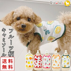 yj聚5%OFFN[|zgCv[h    ̕ y͂ҁ[DOGz L~\[ Ȃ  t[c yt  t t ĕ t ĕ ėpzyj̎q ^ ^z