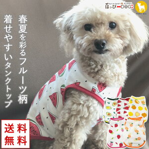    ̕ y͂ҁ[DOGz ^Ngbv ₷ Ȃ m[X[u  t[c  V[g yt  t t ĕ t ĕ ėpzyj̎q ^ ^zy