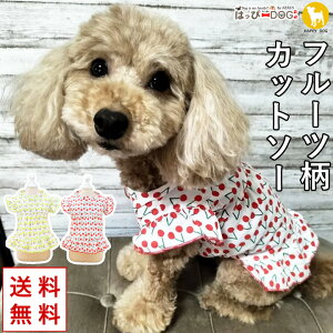 gCv[h   Jbg\[ s[X 킢 ̎q ӂӂ   ̕ t[c Ȃ   yt  t t ĕ t ĕ ėpzy^ ^z