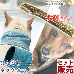yZbg̔z ̊p O p  p   Ck    ̕ oh Ђ  p o_i yt  t t ĕ t ĕ ėpzyj̎q ^ ^z