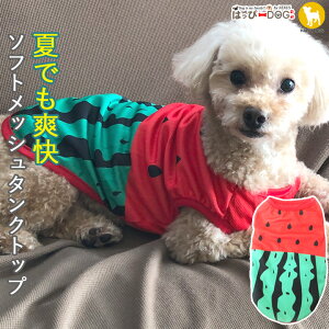 gCv[h    ̕ y͂ҁ[DOGz ₷ ^Ngbv Ȃ m[X[u  t[c XCJ bV  N[ V[g yt  t t ĕ t 