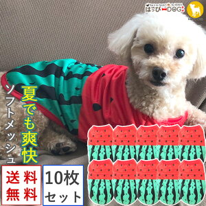 y10ZbgzgCv[h    ̕ y͂ҁ[DOGz ₷ ^Ngbv Ȃ m[X[u  t[c XCJ bV  N[ V[g yt  t t