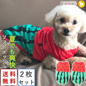 y2ZbgzgCv[h    ̕ y͂ҁ[DOGz ₷ ^Ngbv Ȃ m[X[u  t[c XCJ bV  N[ V[g yt  t t