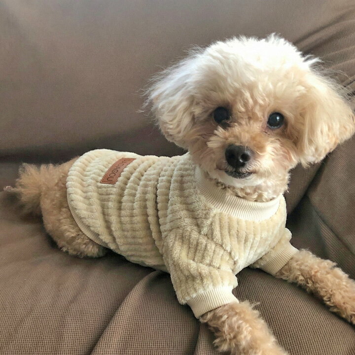 楽天市場】犬 服 犬服 犬の服 【はっぴーDOG】 フリース モコモコ 
