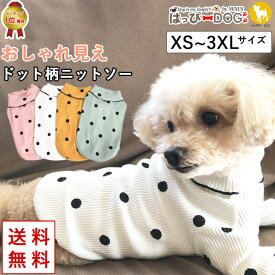 犬 服 犬服 犬の服 【はっぴーDOG】 Tシャツ ニットソー カットソー フリル ふりふり ドット柄 袖あり かわいい 女の子 ショート丈 暖かい 【春 夏 春夏 春服 夏服 春物 夏物 春服】