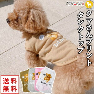 y{|Cg10{z   ̕ y͂ҁ[DOGz ^Ngbv Ȃ m[X[u  ₷  N} F V[g gyH ~ H~ H ~ H ~ Hz