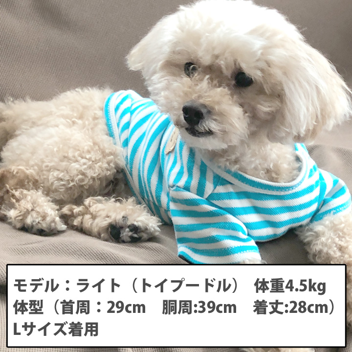 大人気定番商品犬 服 犬服 くま クマ 袖あり ショート丈 いぬ Tシャツ 犬の服 カットソー ボーダー 暖かい ドッグウェア