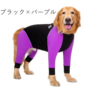    ̕ y͂ҁ[DOGz    ^ AE^[ Ȃ p[X Jo[I[ EFbgX[c h ₷ wJ wJ w J wt@Xi[ g y