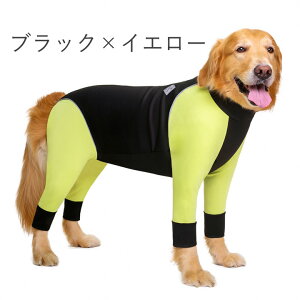 yj聚5%OFFN[|z   ̕ y͂ҁ[DOGz    ^ AE^[ Ȃ p[X Jo[I[ EFbgX[c h ₷ wJ wJ w J