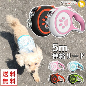 yj聚5%OFFN[|z [h 5m Lk tLVu   ^  yt  t t ĕ t ĕ ėpz