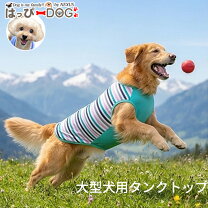 楽天市場】大型犬 服 春夏の通販