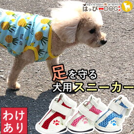 【本日限定★8%OFFクーポン】 【わけあり品】 犬 靴 犬靴 犬の靴 犬用靴 ドッグシューズ 夏 防止 肉球保護 暑さ対策 ファスナー 履かせやすい 脱げない くつ 介護 足 怪我 シニア ケア 【春 夏 春夏 春服 夏服 春物 夏物 春服】