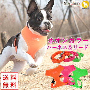 n[lX[hZbg  ̕SȂ  ^ ^ q y͂ҁ[DOGz psA PUPPIA  t@bV n[lXp ̃n[lX _炩 xXgn[lX ps[ ^ 