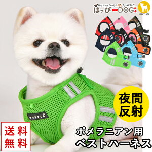 n[lX |jA  ̕SȂ ^ ^ q psA PUPPIA  t@bV n[lXp ̃n[lX _炩 xXgn[lX ps[ ^ ɏ ȒP 