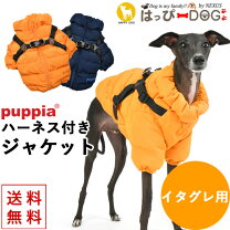 楽天市場】イタリアン グレーハウンド 洋服（適正犬種ヨークシャー 